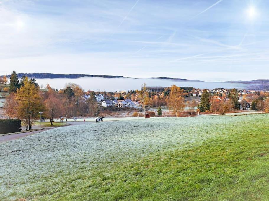 Apartement Nathalie - Wellness Mit Pool Und Sauna Schluchsee Exterior foto